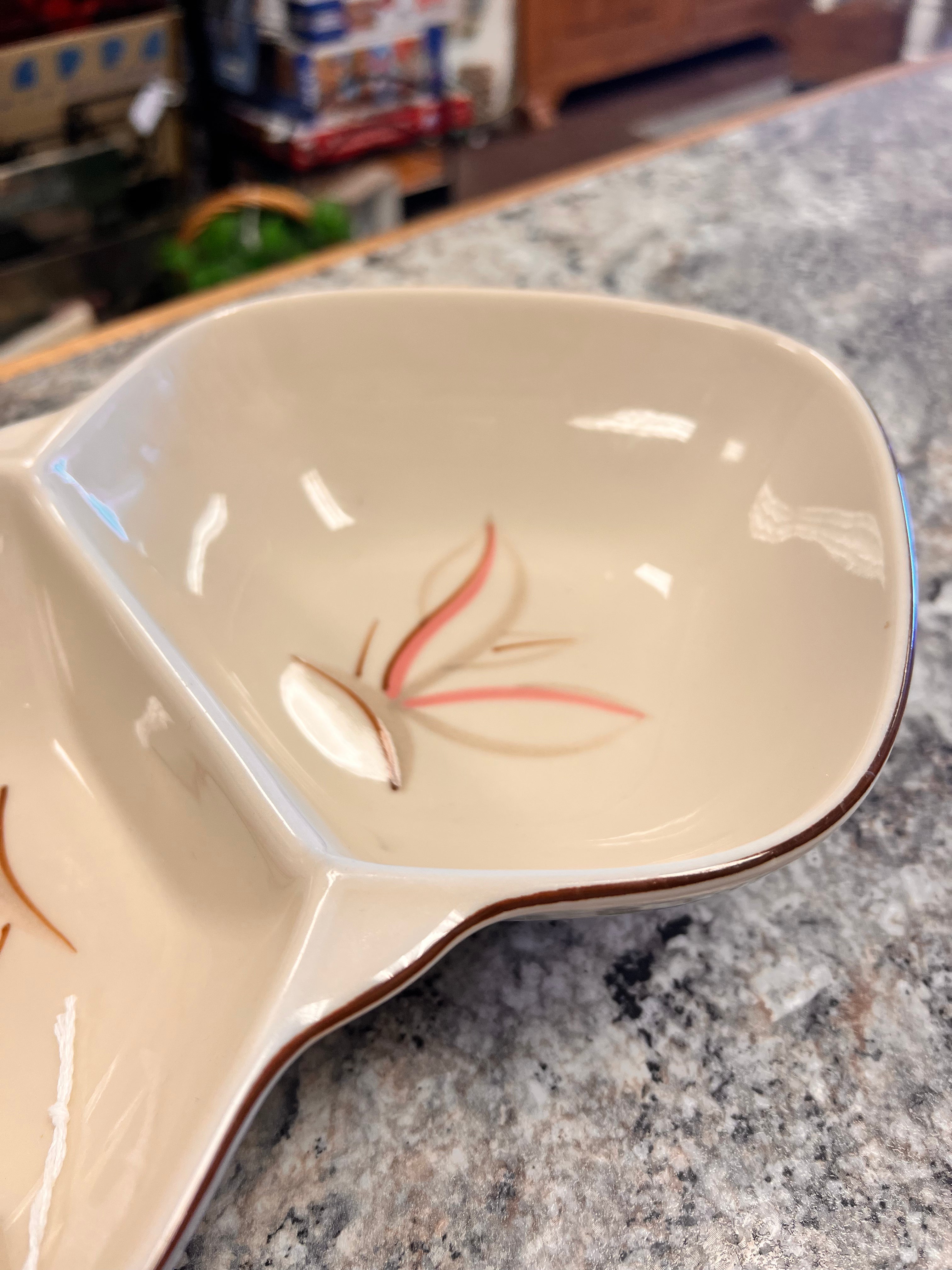 Divided Bowl