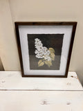 White Flowers