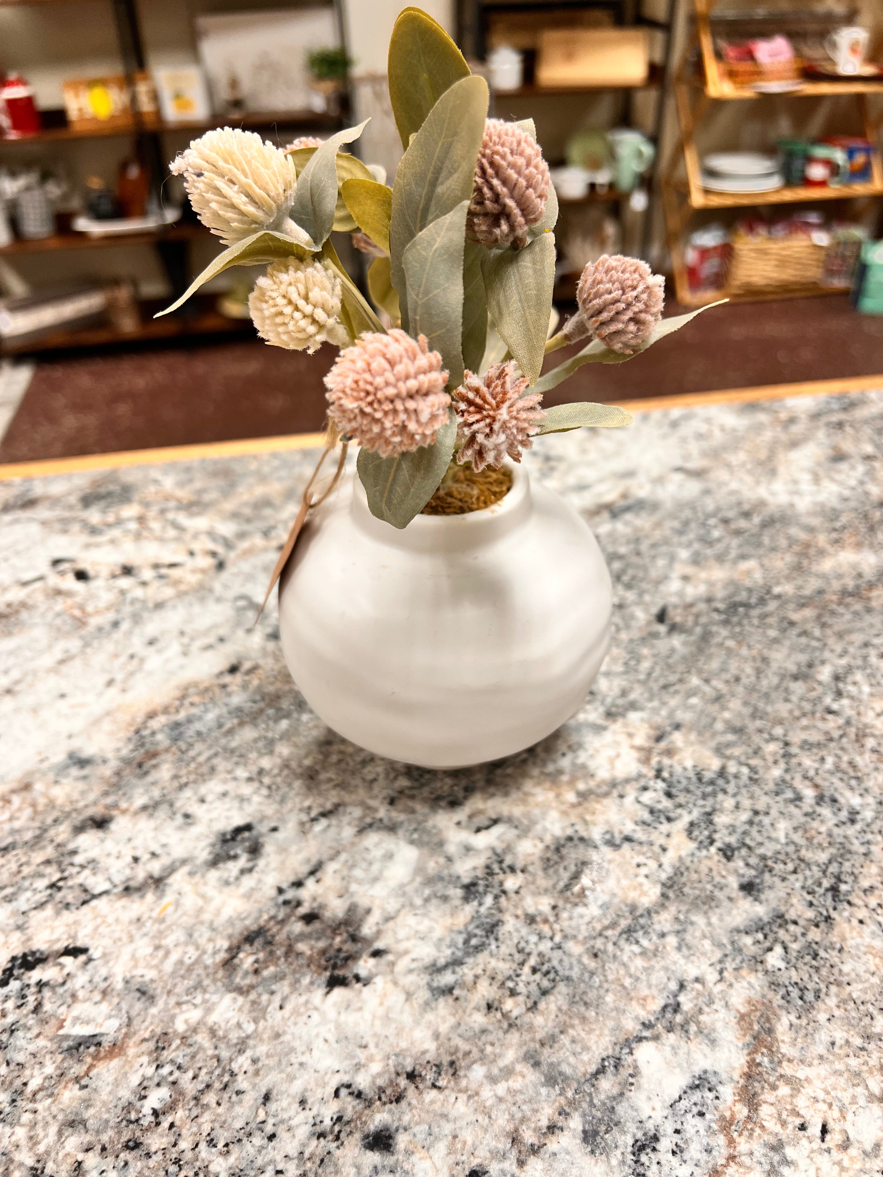 Small Plant