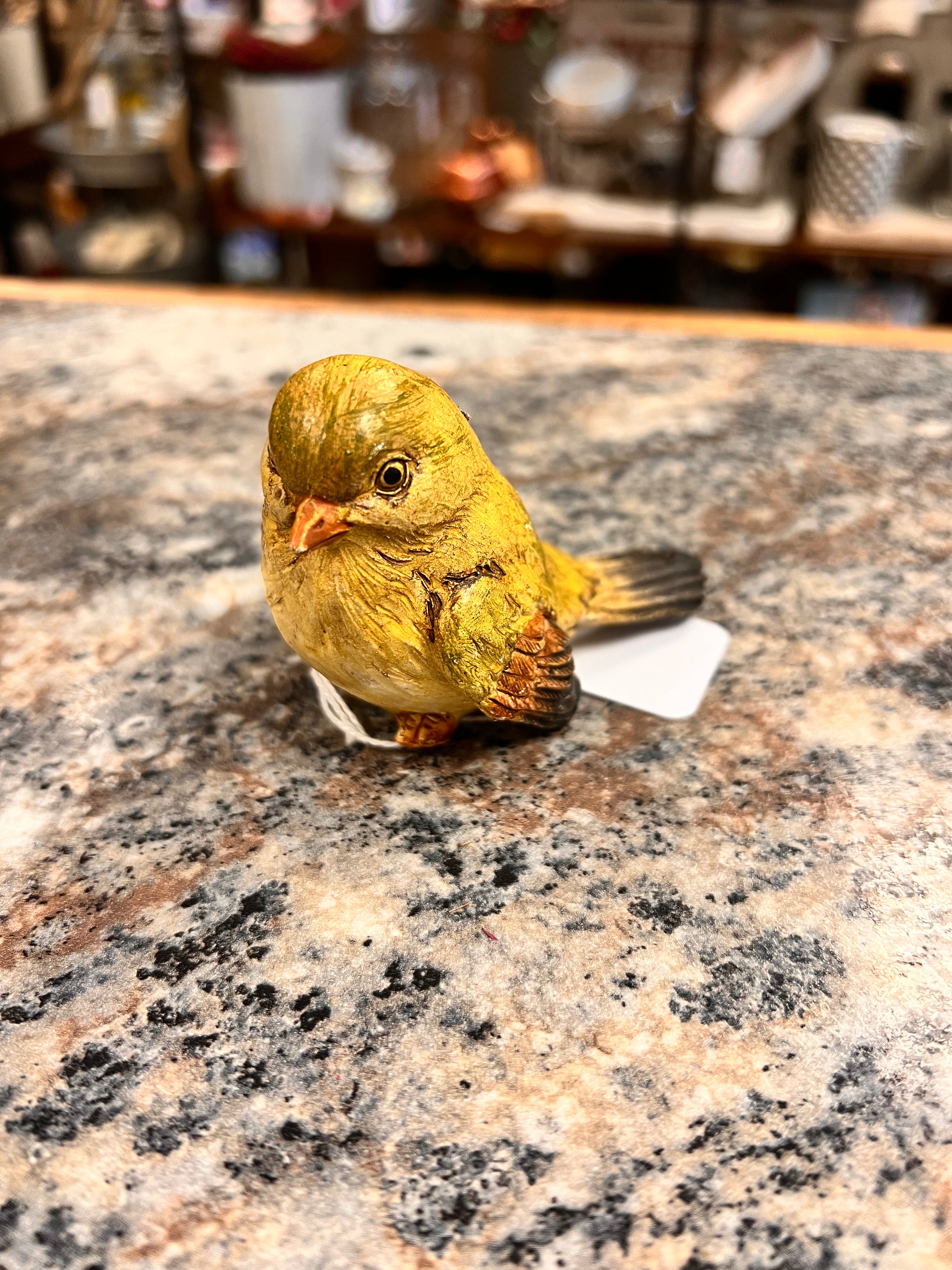 Bird Decor