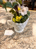 Milk Glass Plant