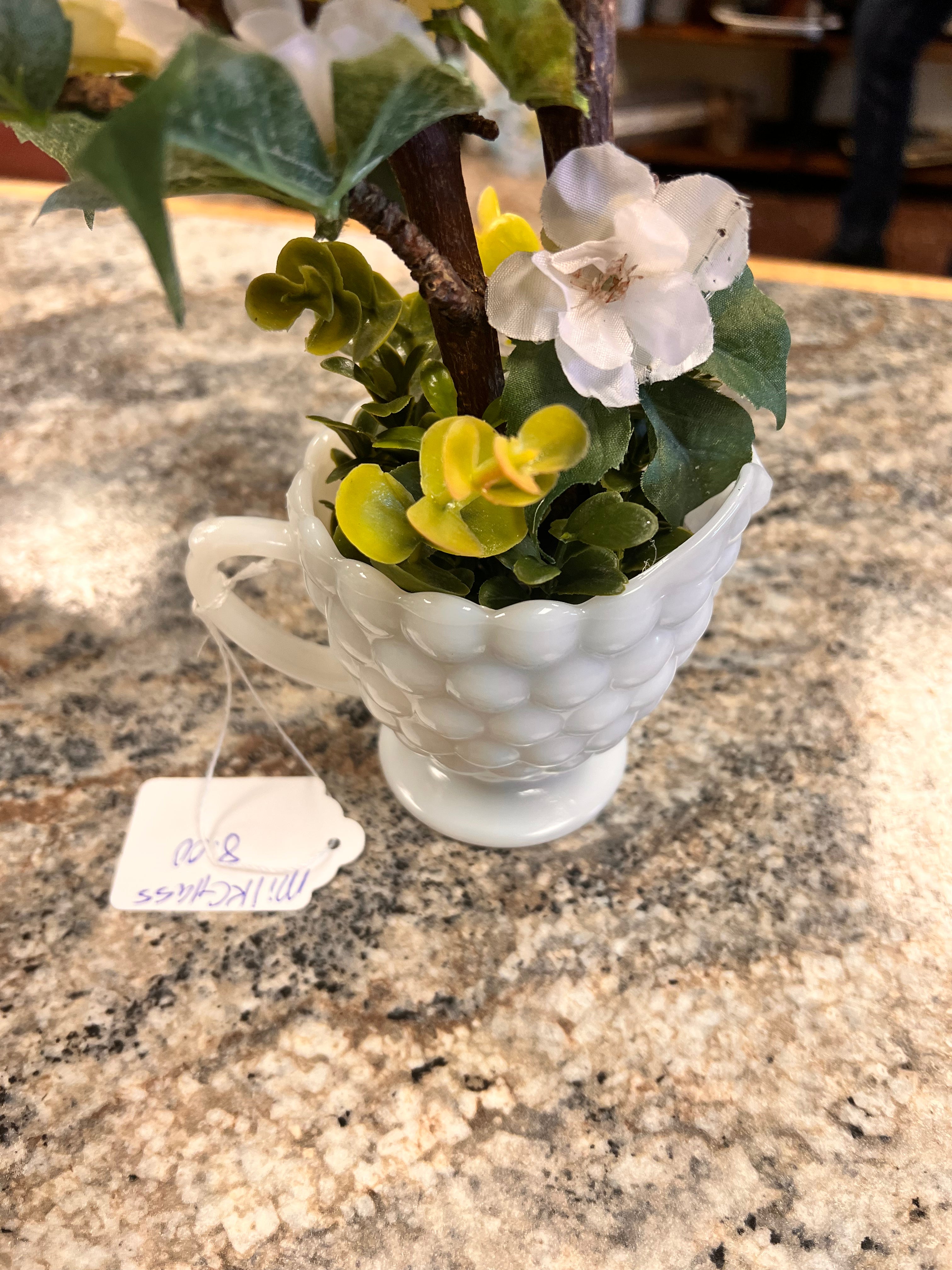 Milk Glass Plant