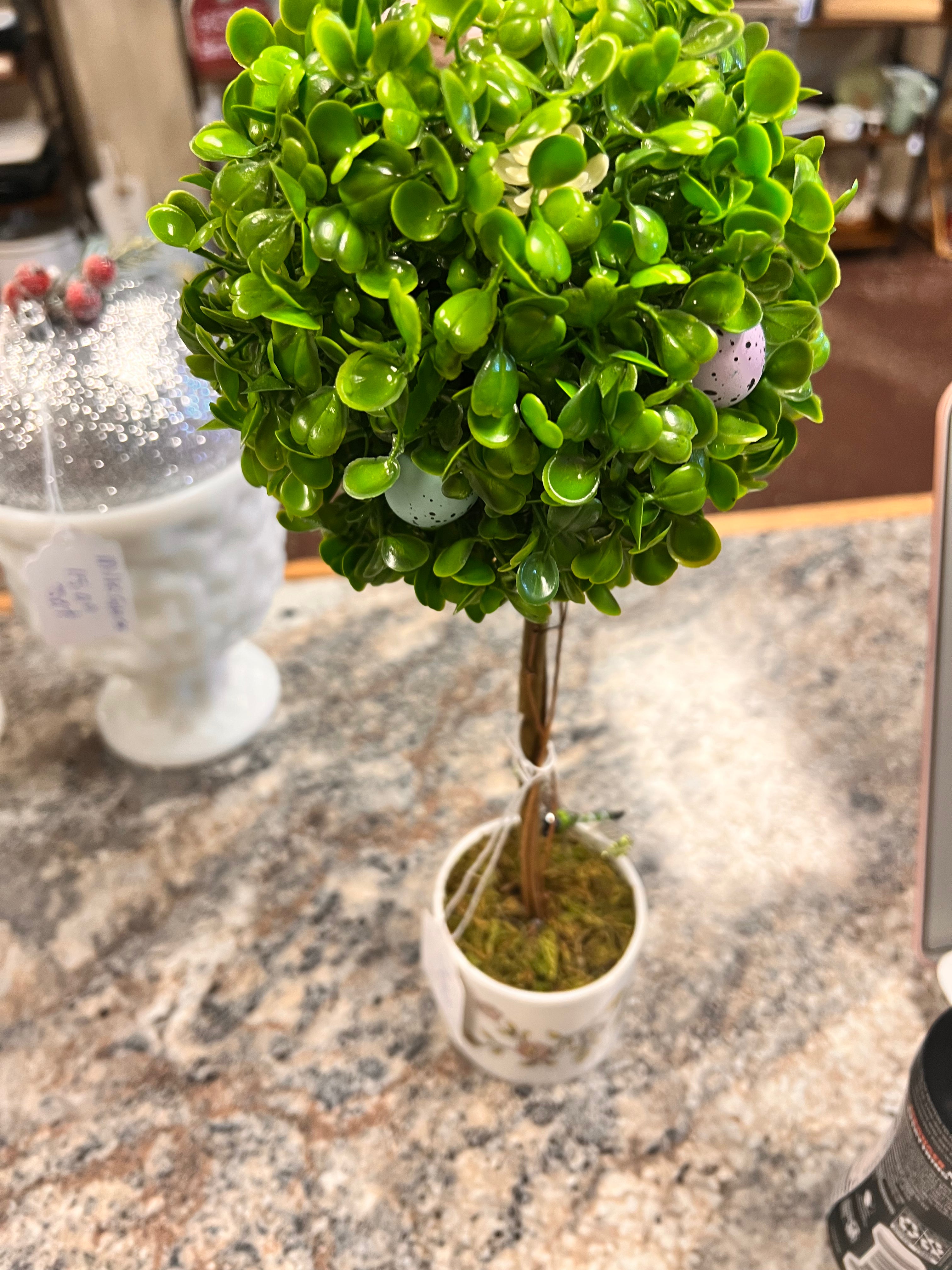 Plant