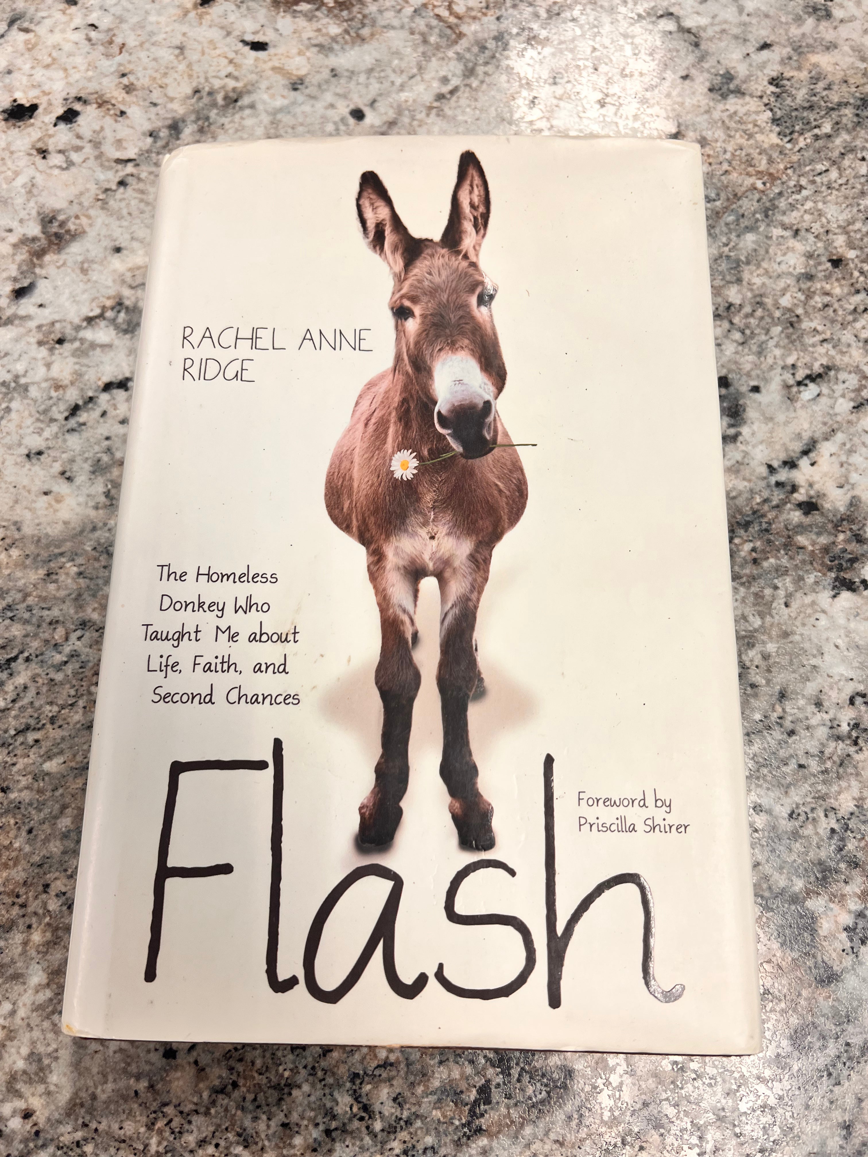 Rachel Ridge Book