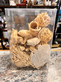 Potpourri
