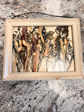 Framed Plants