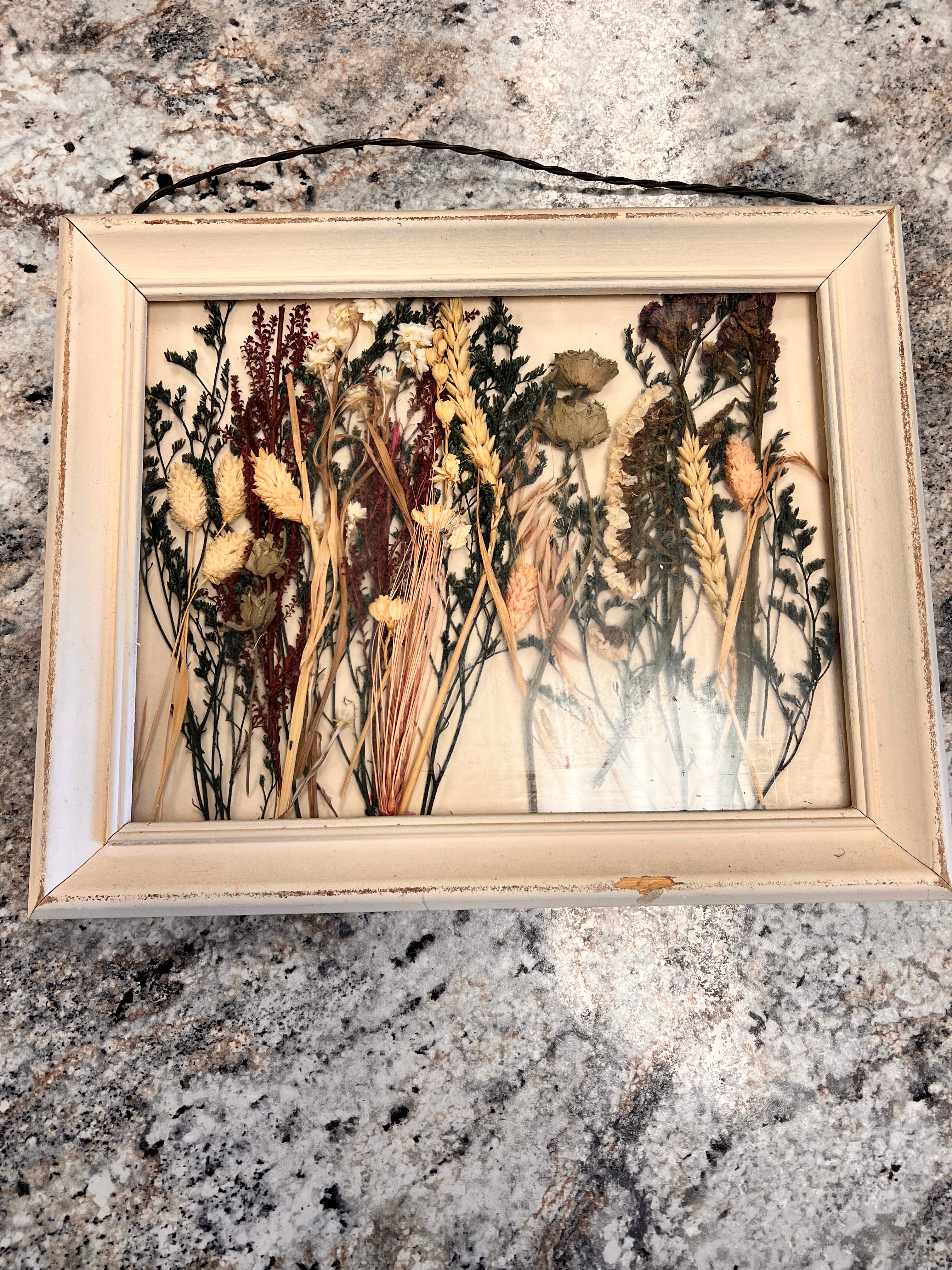 Framed Plants