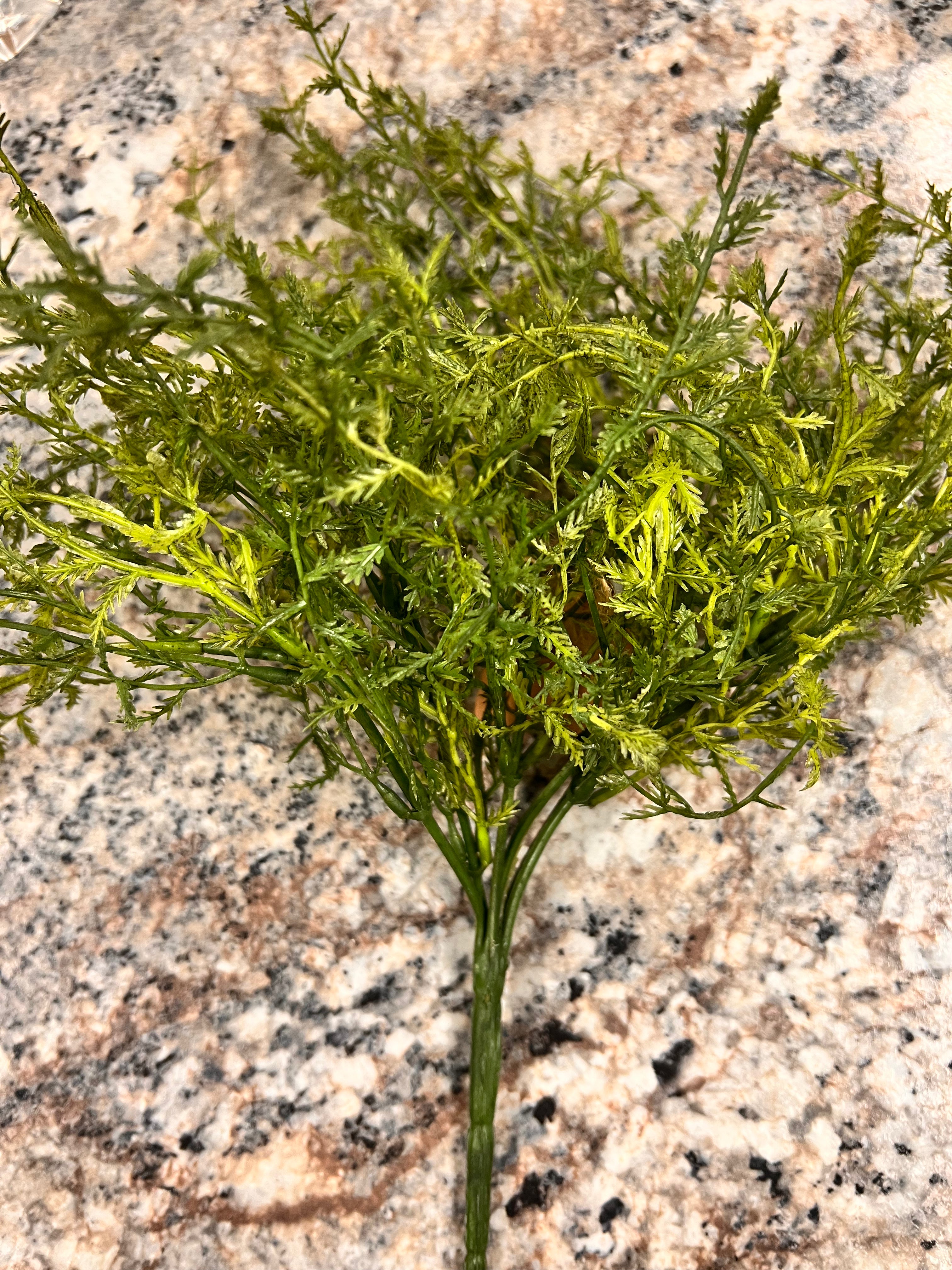 Fake Plant
