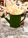 Watering Can