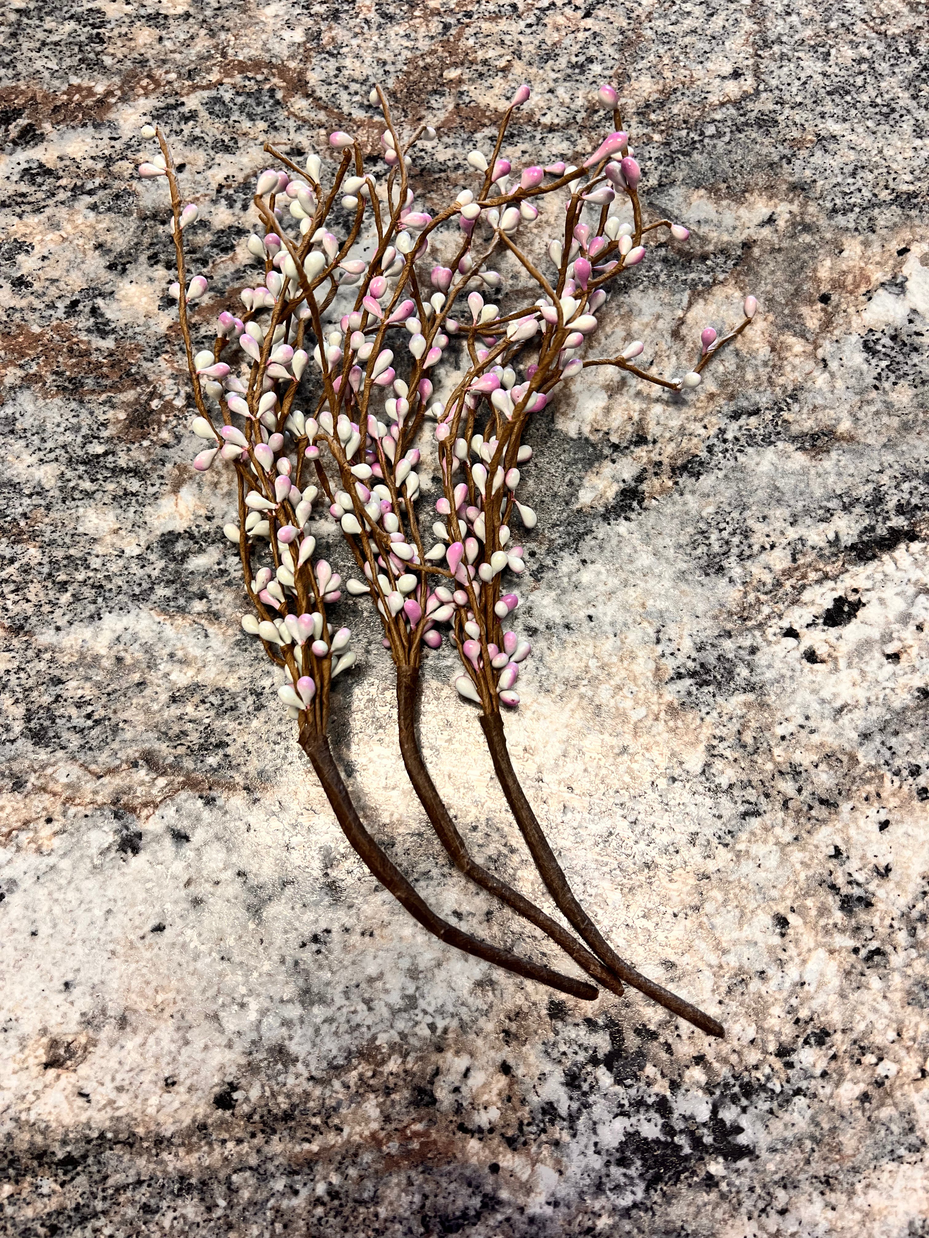 Purple Plant
