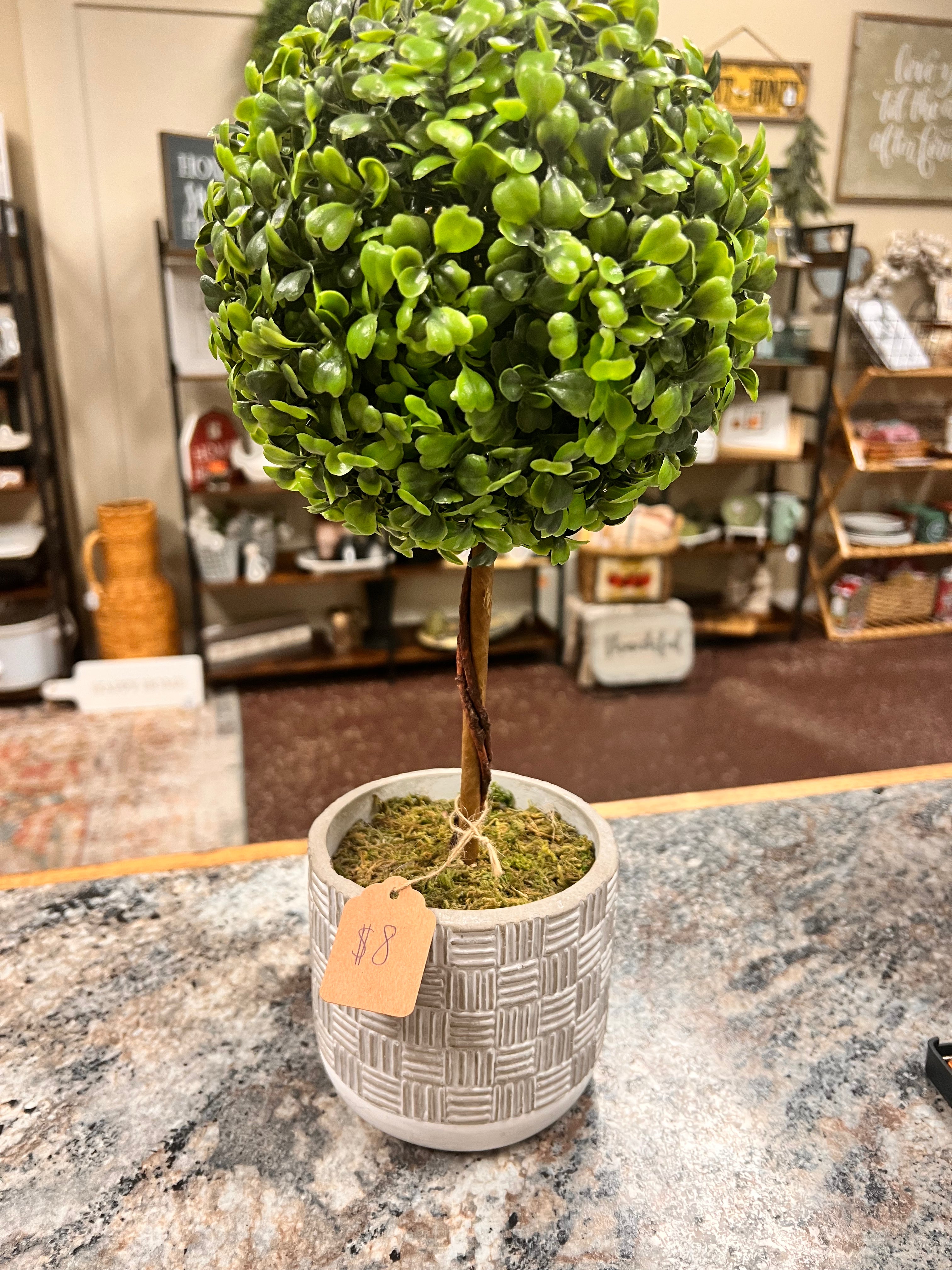Round Plant