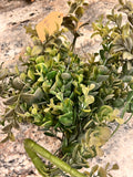 Fake Plant