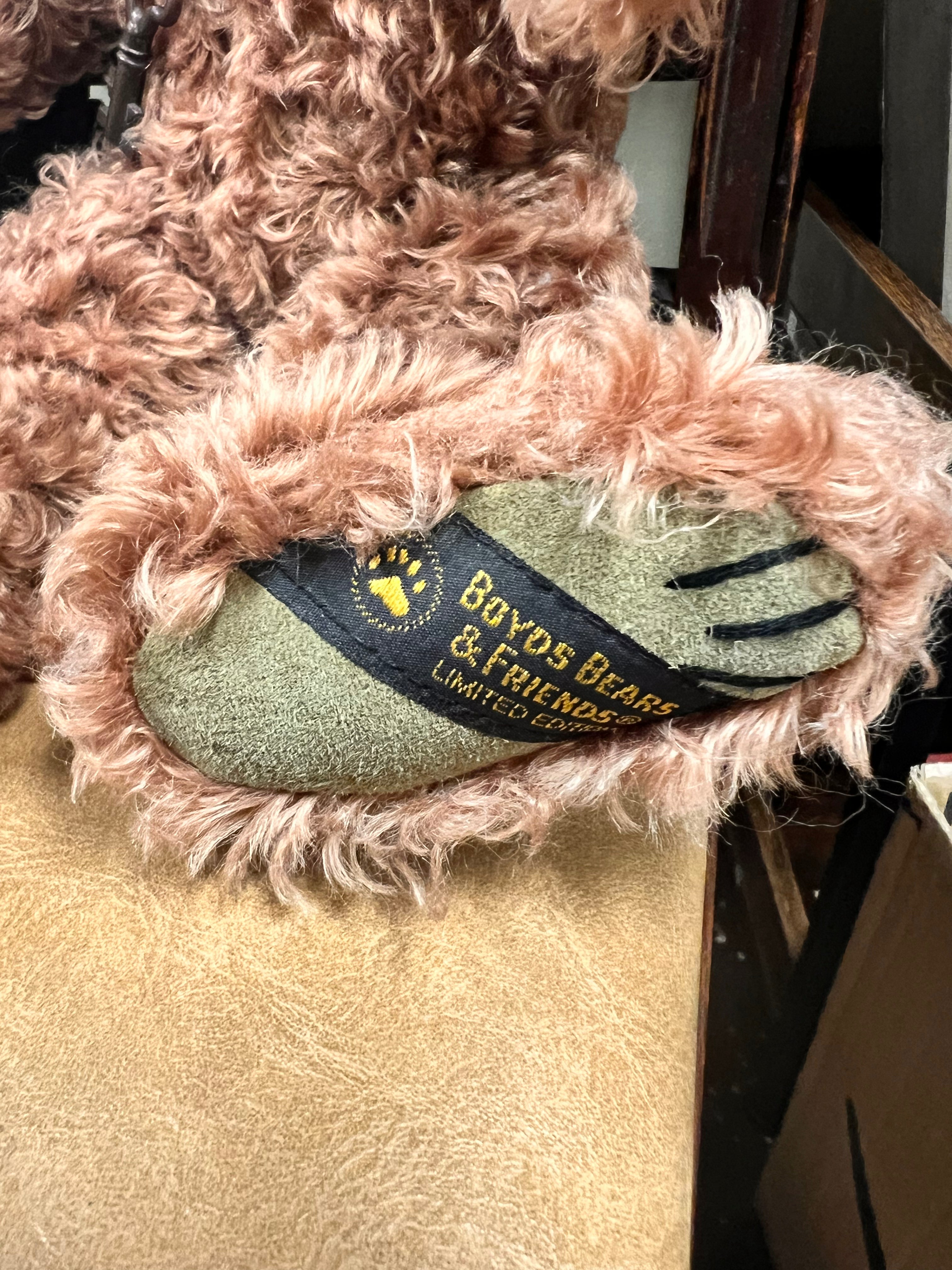Boyd’s Bear