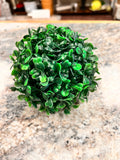 Small Round Plant