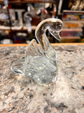 Clear Swan