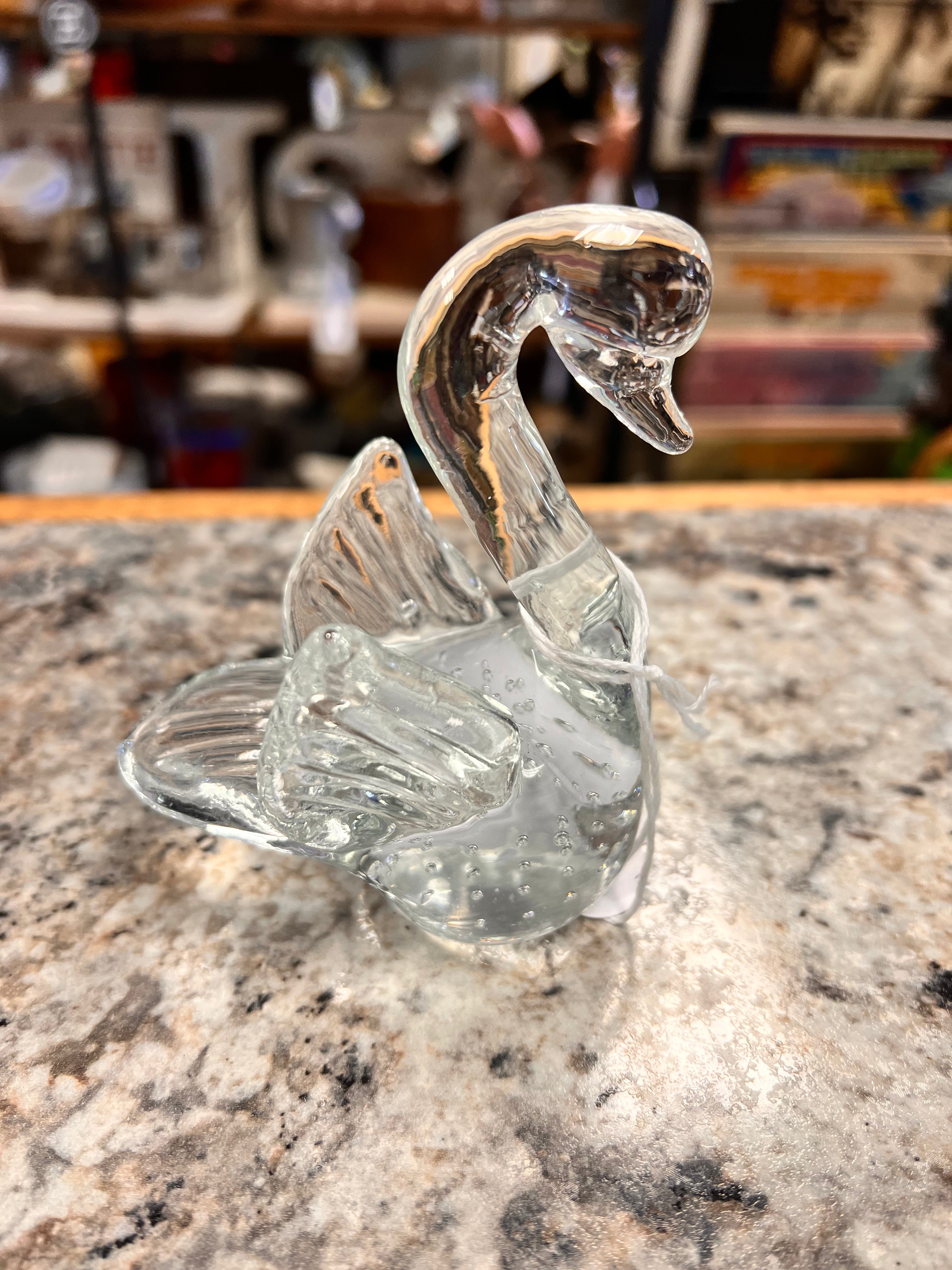 Clear Swan