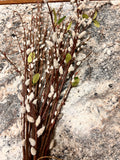 Stems l Faux Plant