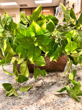 Faux Plant