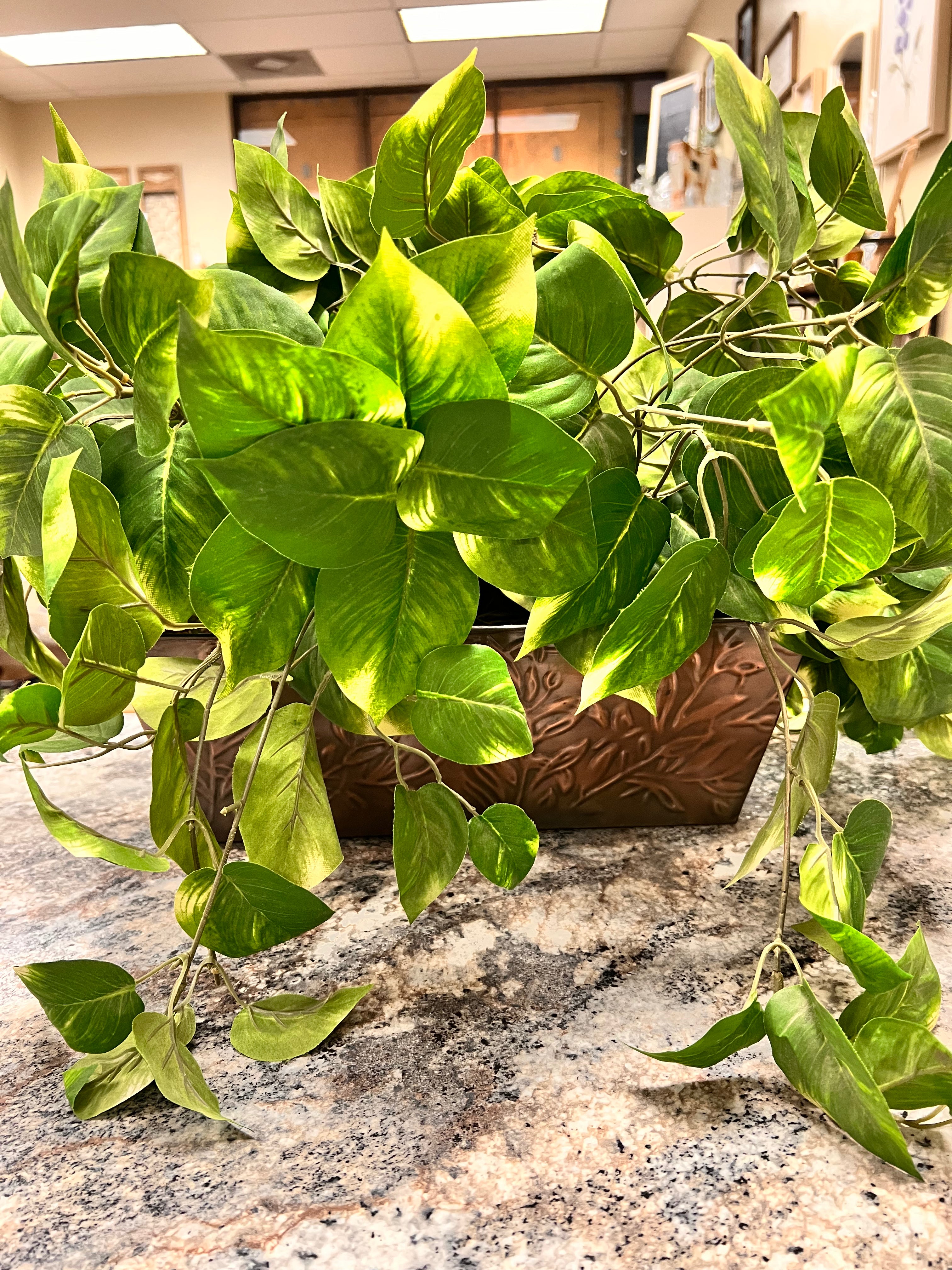 Faux Plant