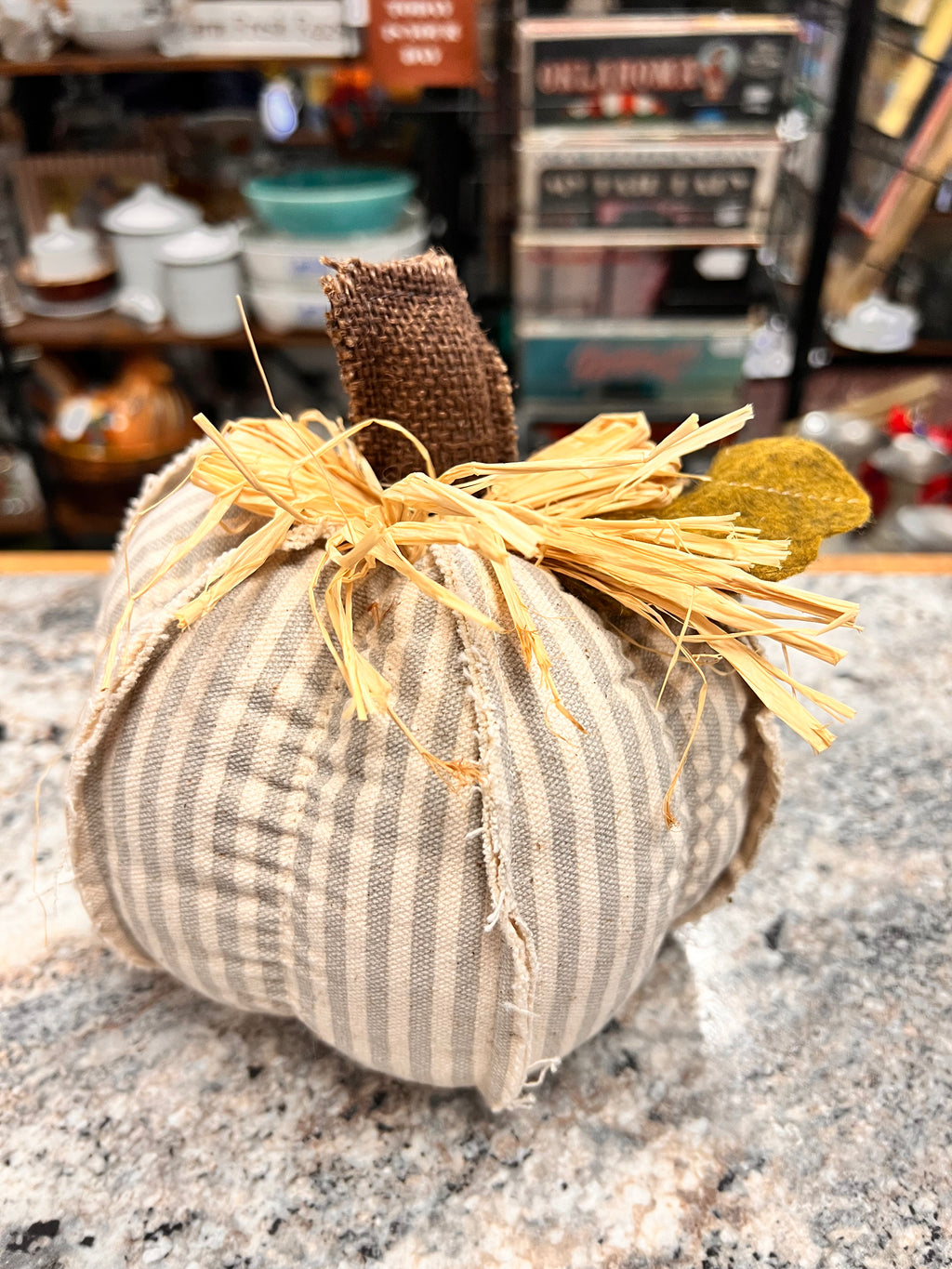 Gray Pumpkin