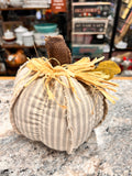 Gray Pumpkin