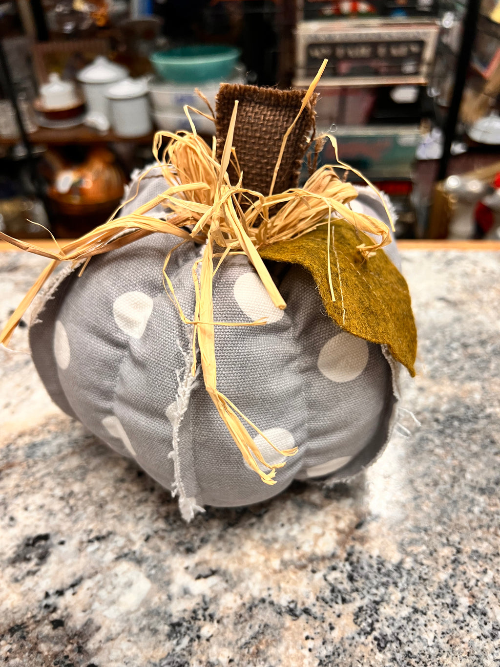 Gray Pumpkin