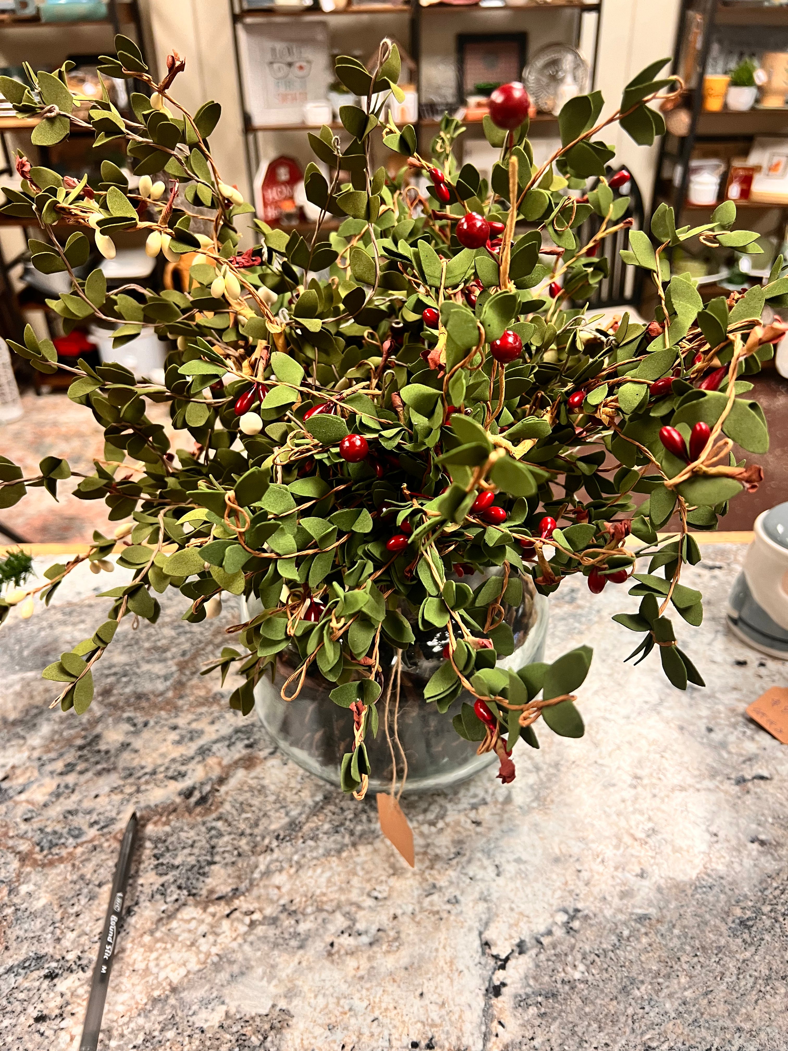 Vase & Plant