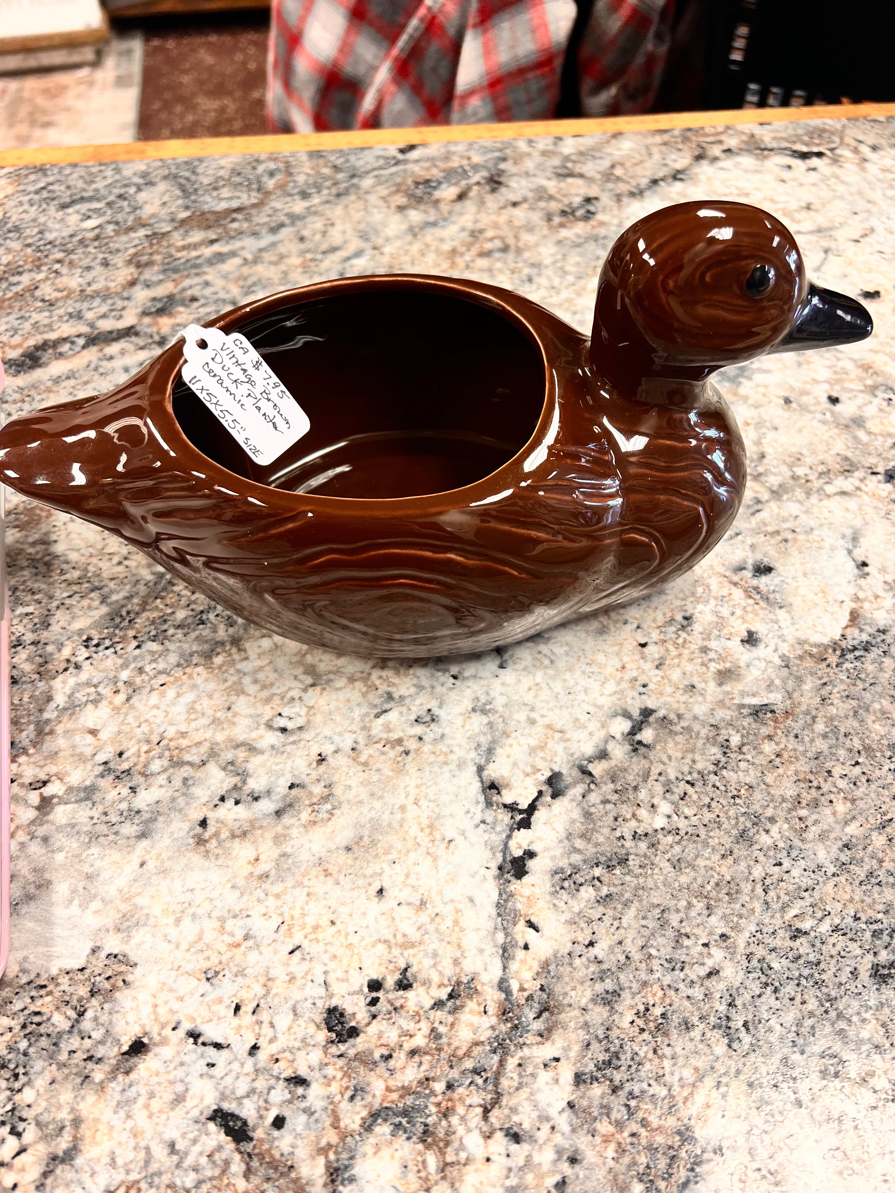 Duck
