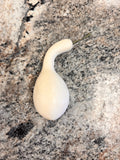 Mini Pumpkin