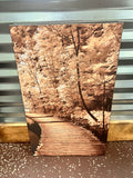 Outdoor Scenery