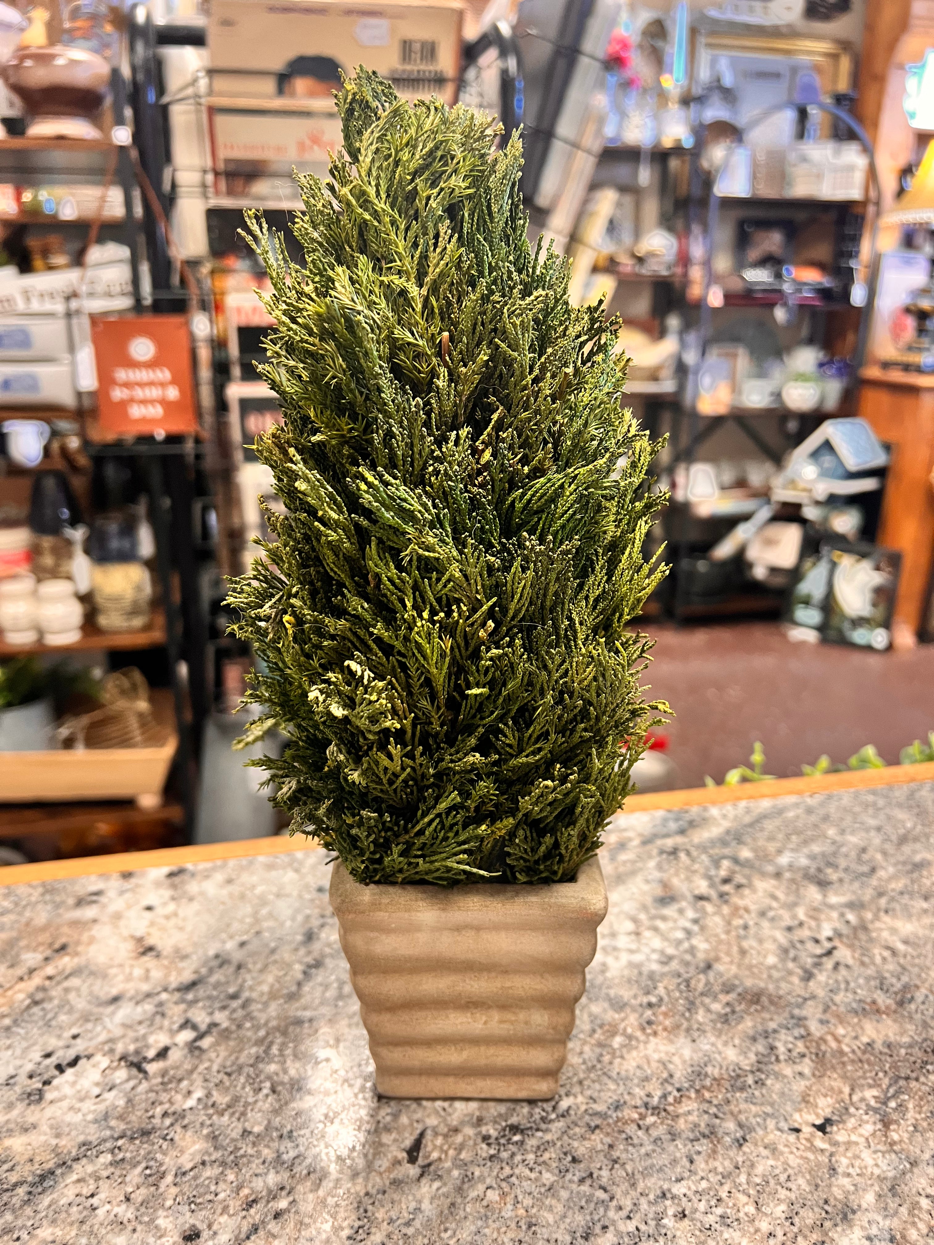 Pine Tree Decor