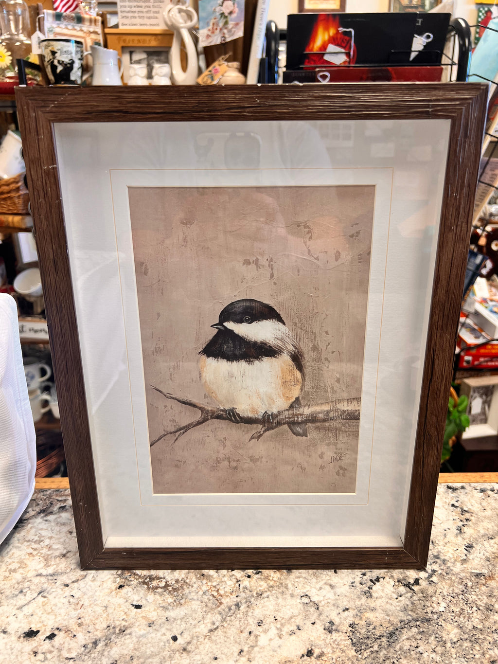 Framed Bird Decor