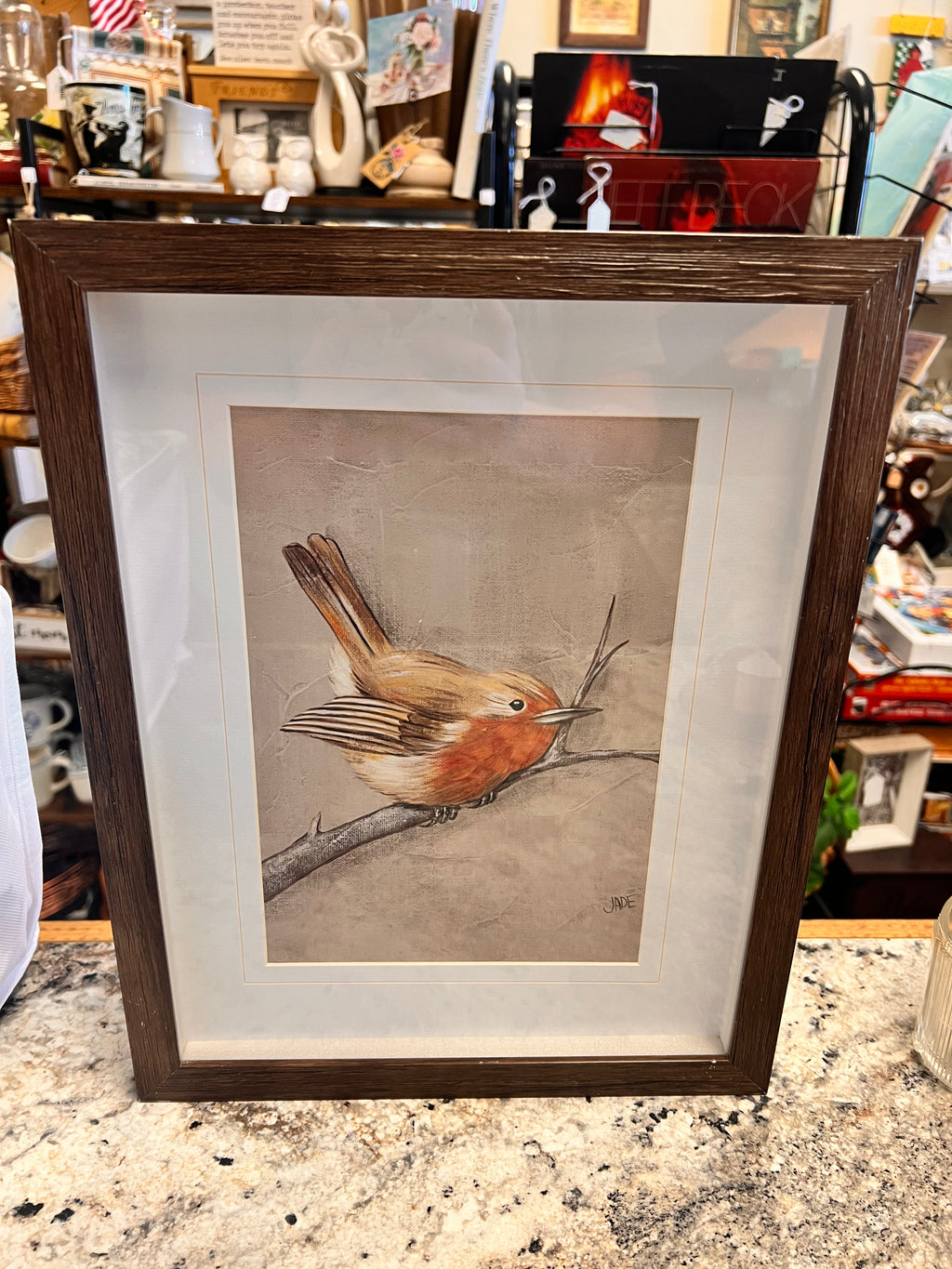 Framed Bird Decor