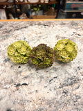 Plant Decor Set