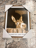 Donkey Picture
