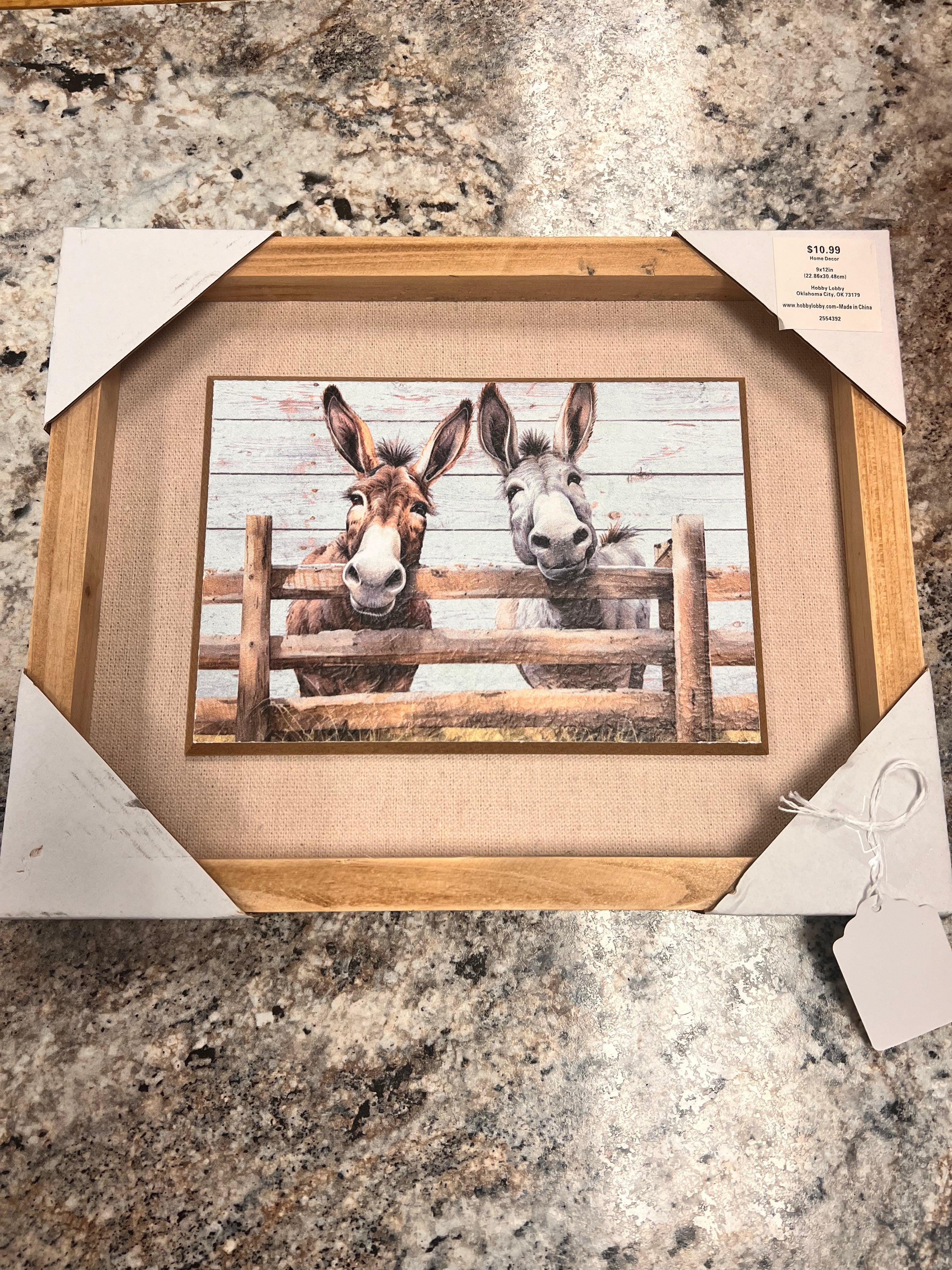 Donkey Picture