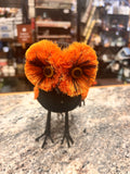 Small Owl