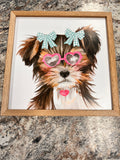 Dog Picture