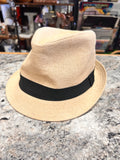 Fedora Style Hat