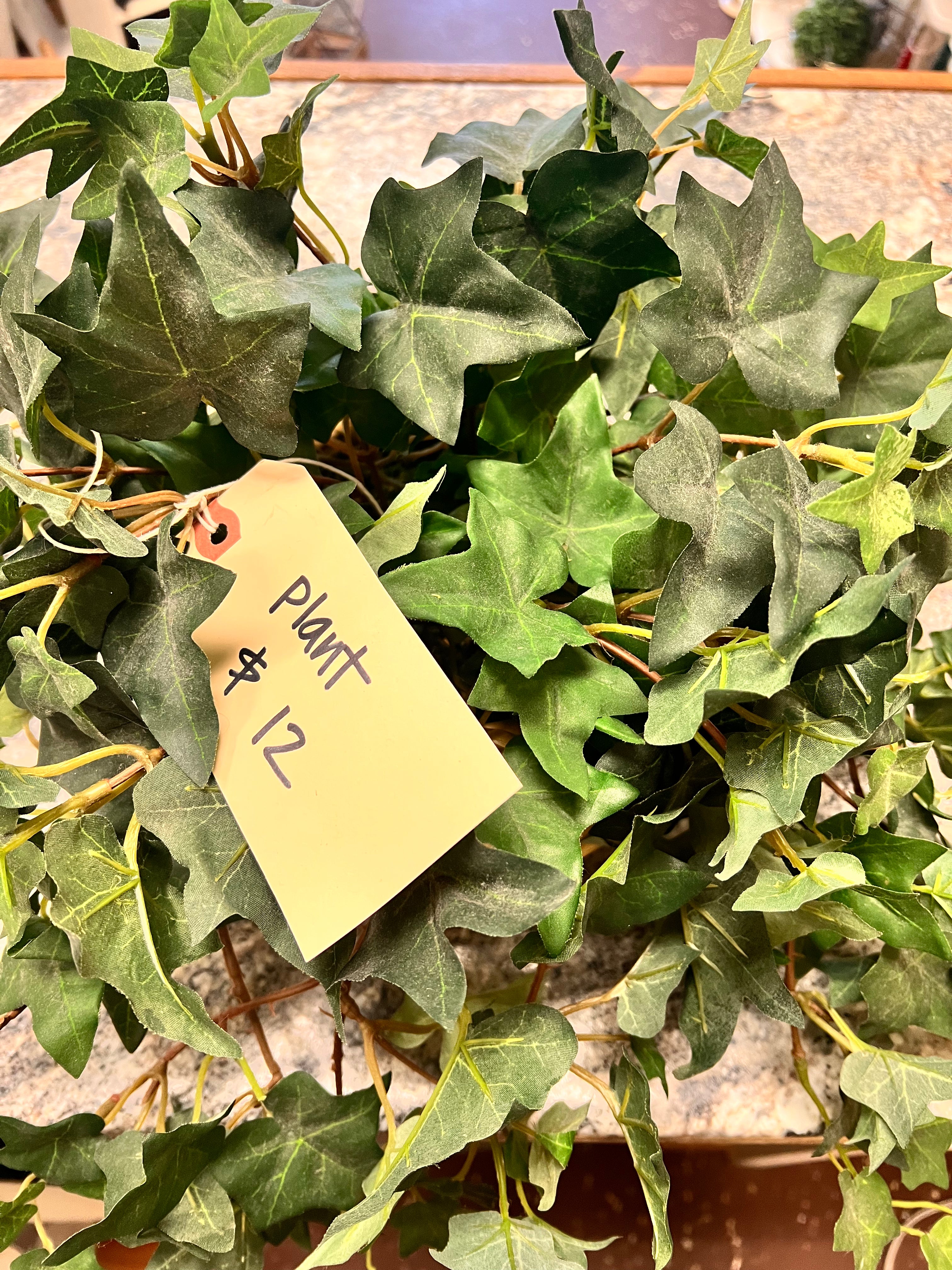 Plant