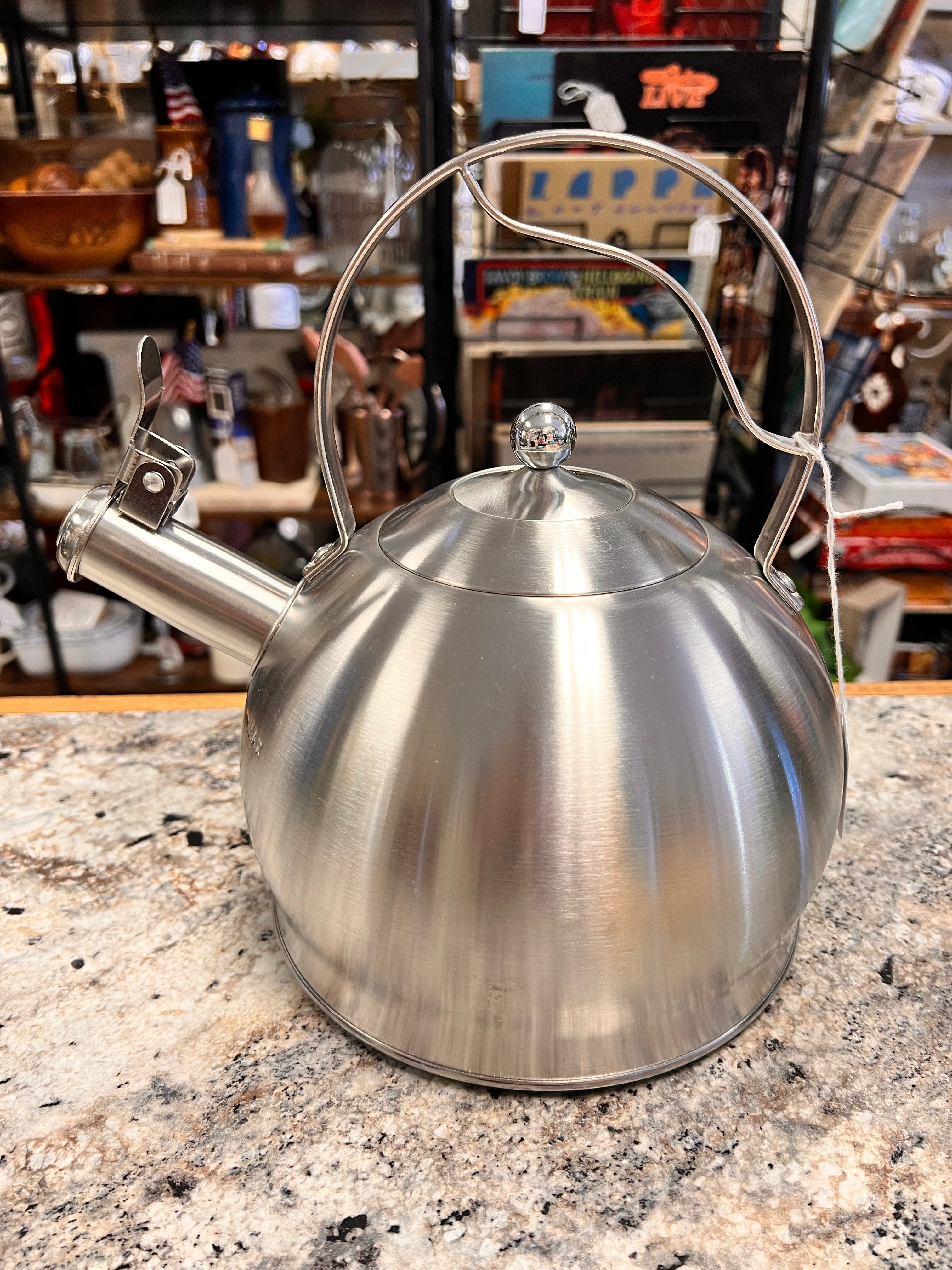 Stainless Teapot