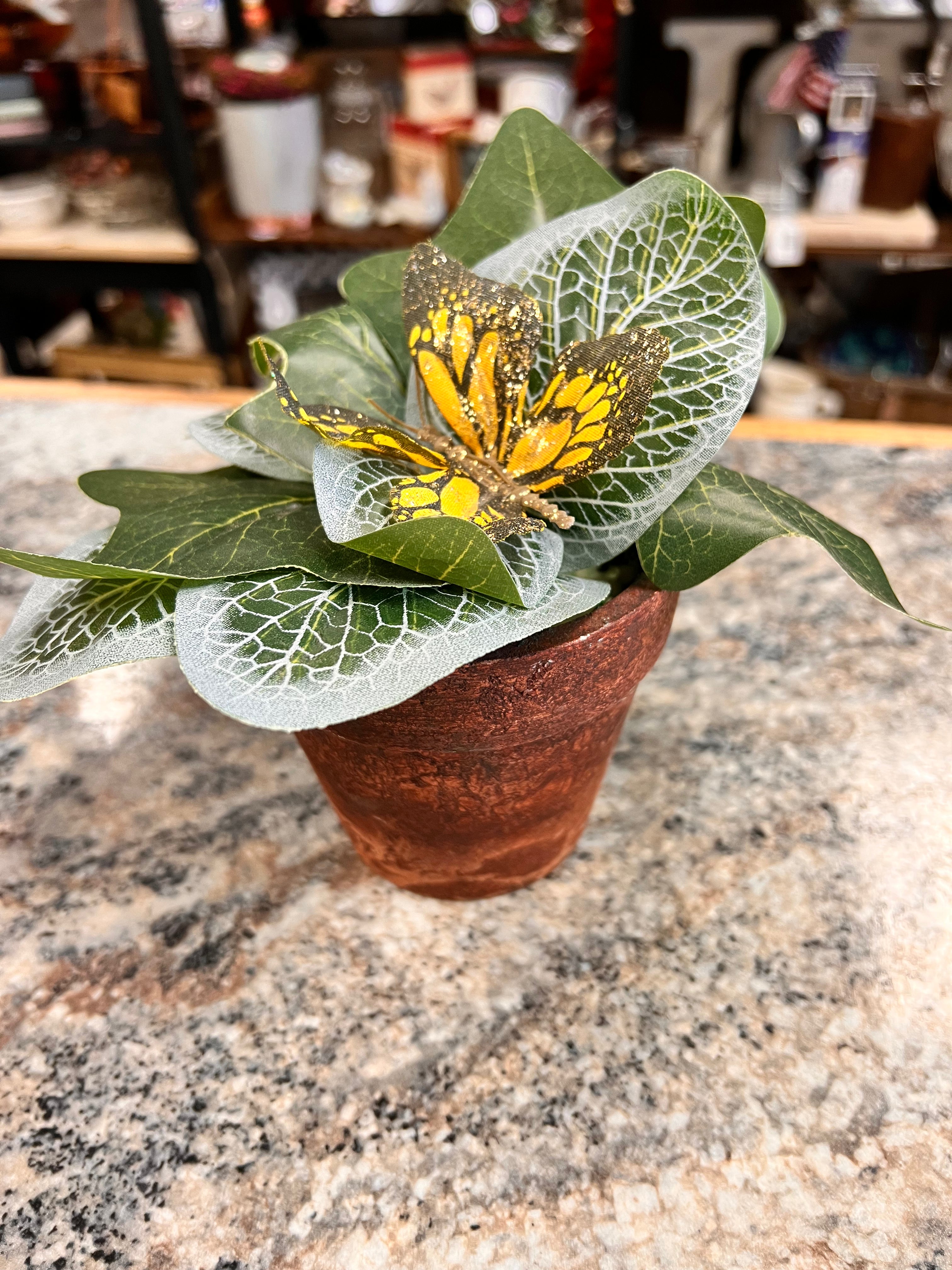 Small Plant