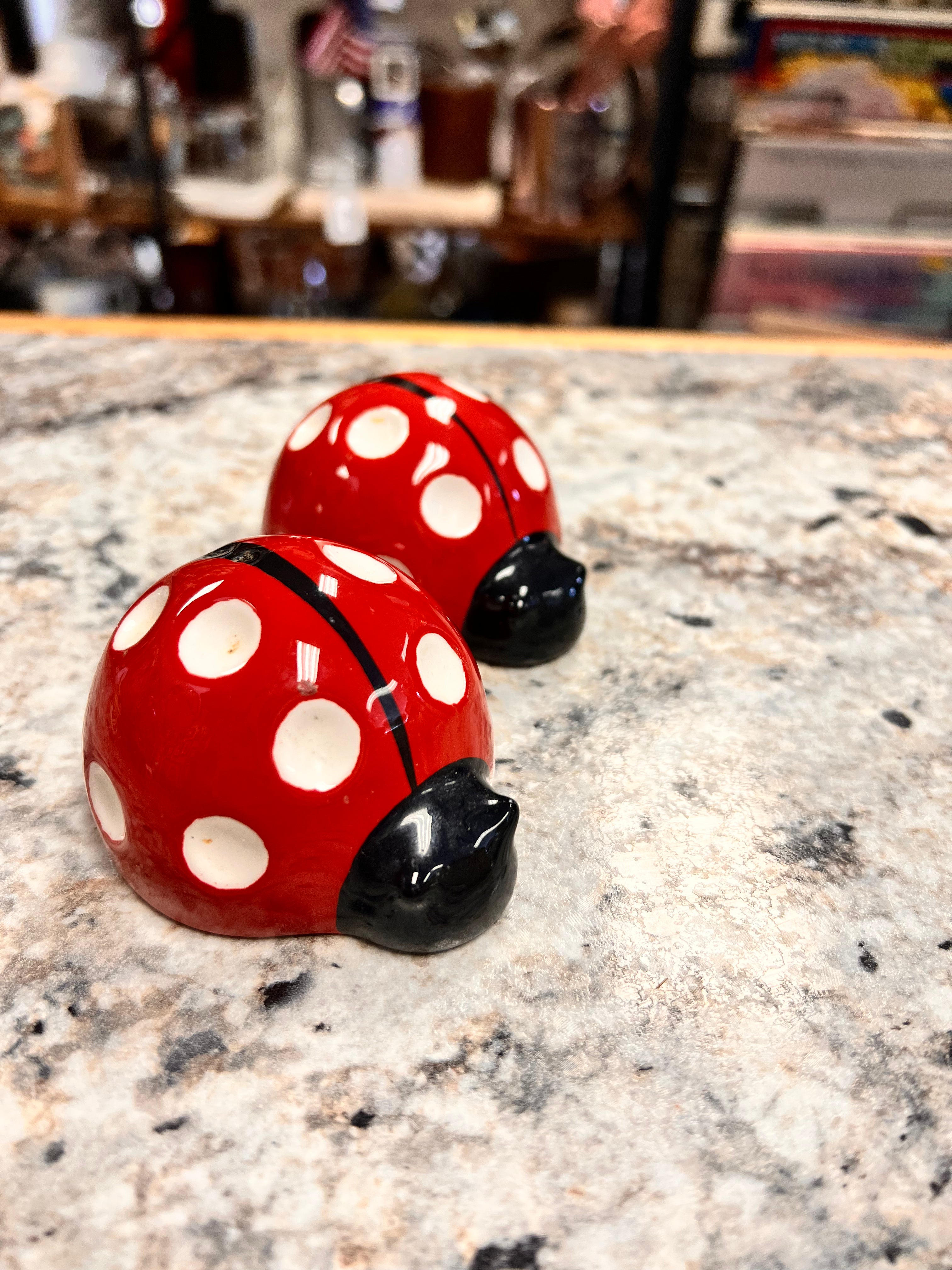 Lady Bug Shakers