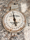 VTG Scale JM