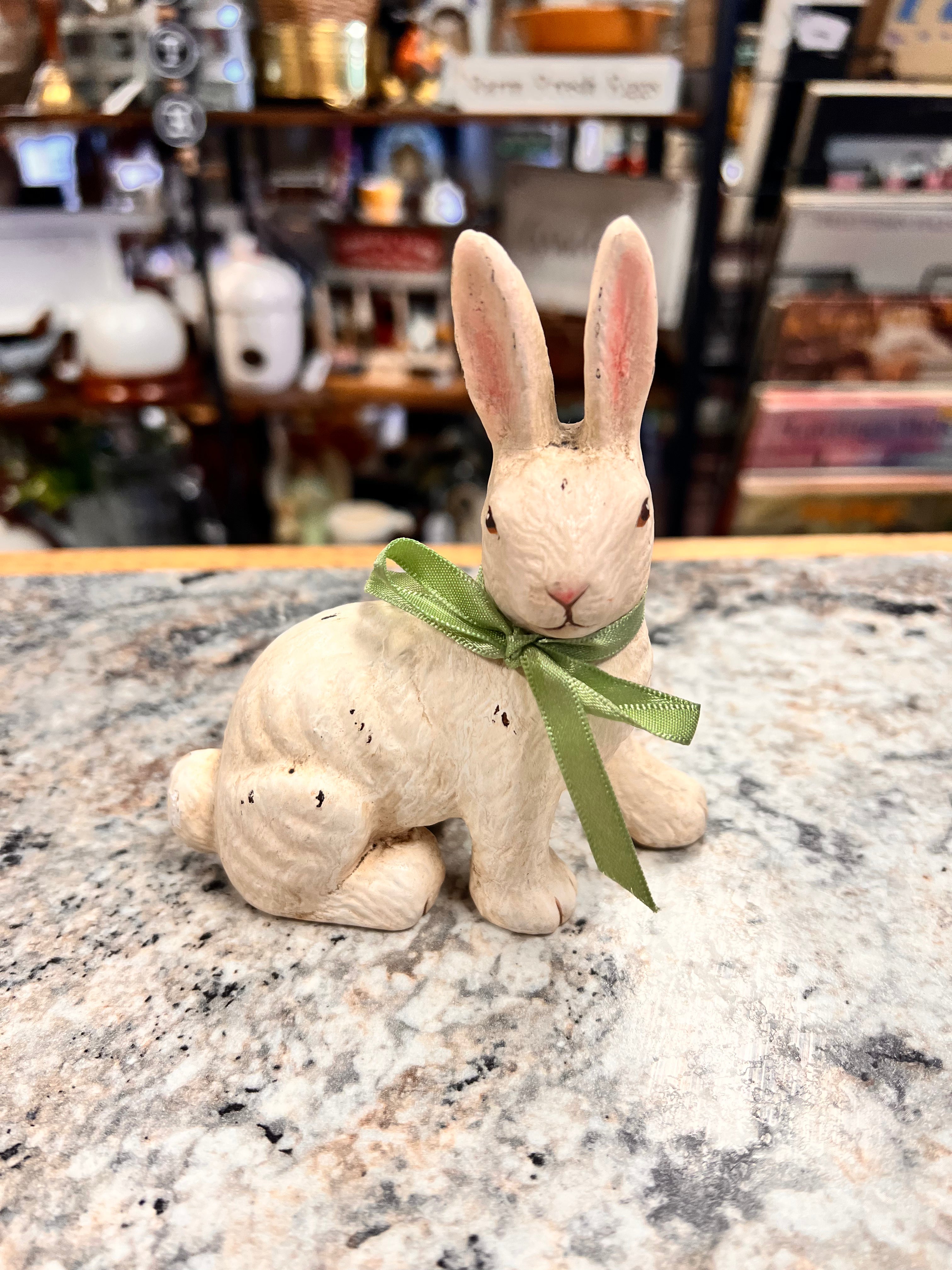 Bunny JM