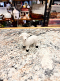 Lamb JM
