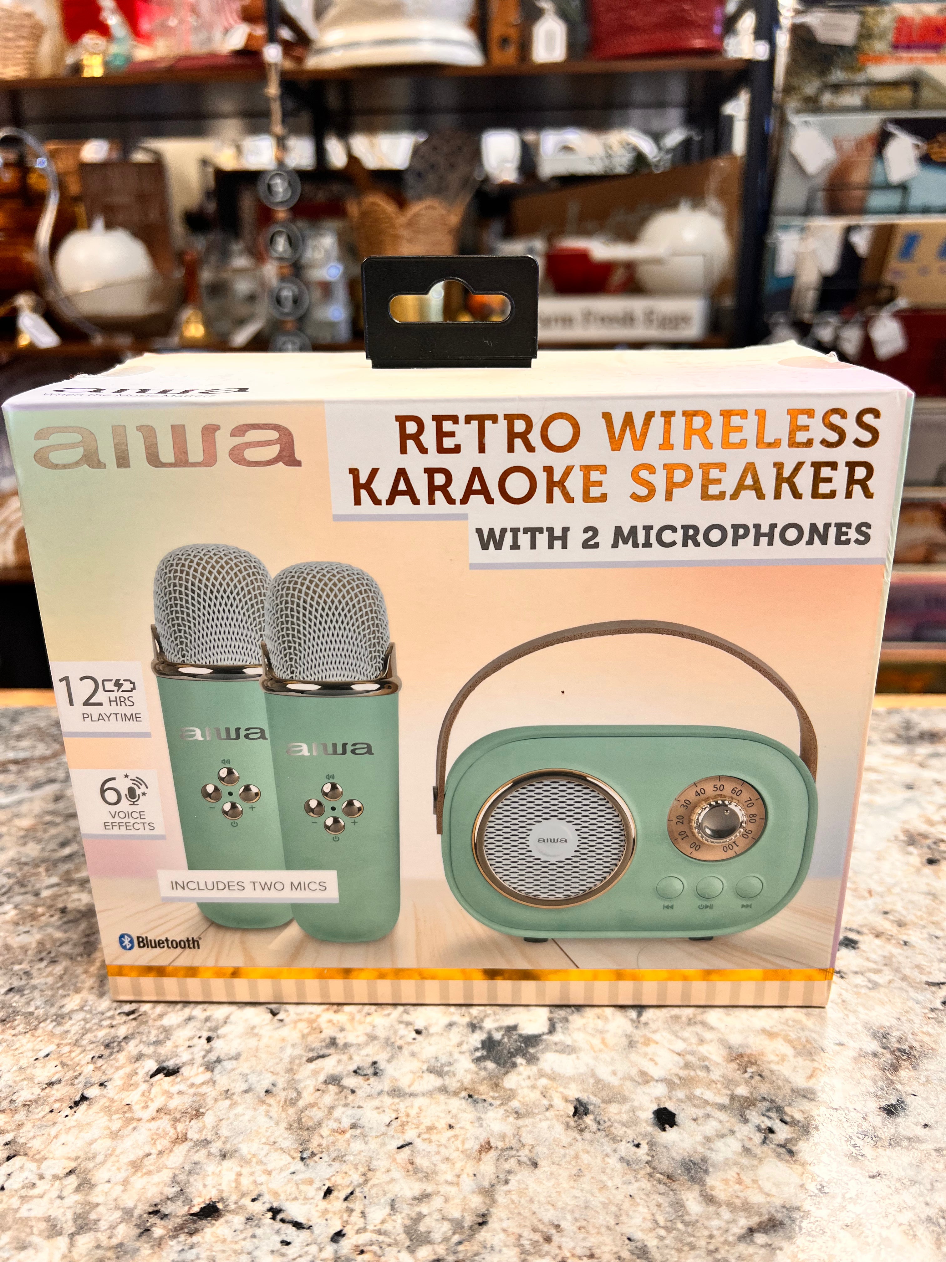 Retro Karaoke Set