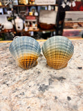 Shell Shakers
