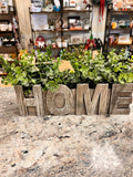 Home Plant Decor