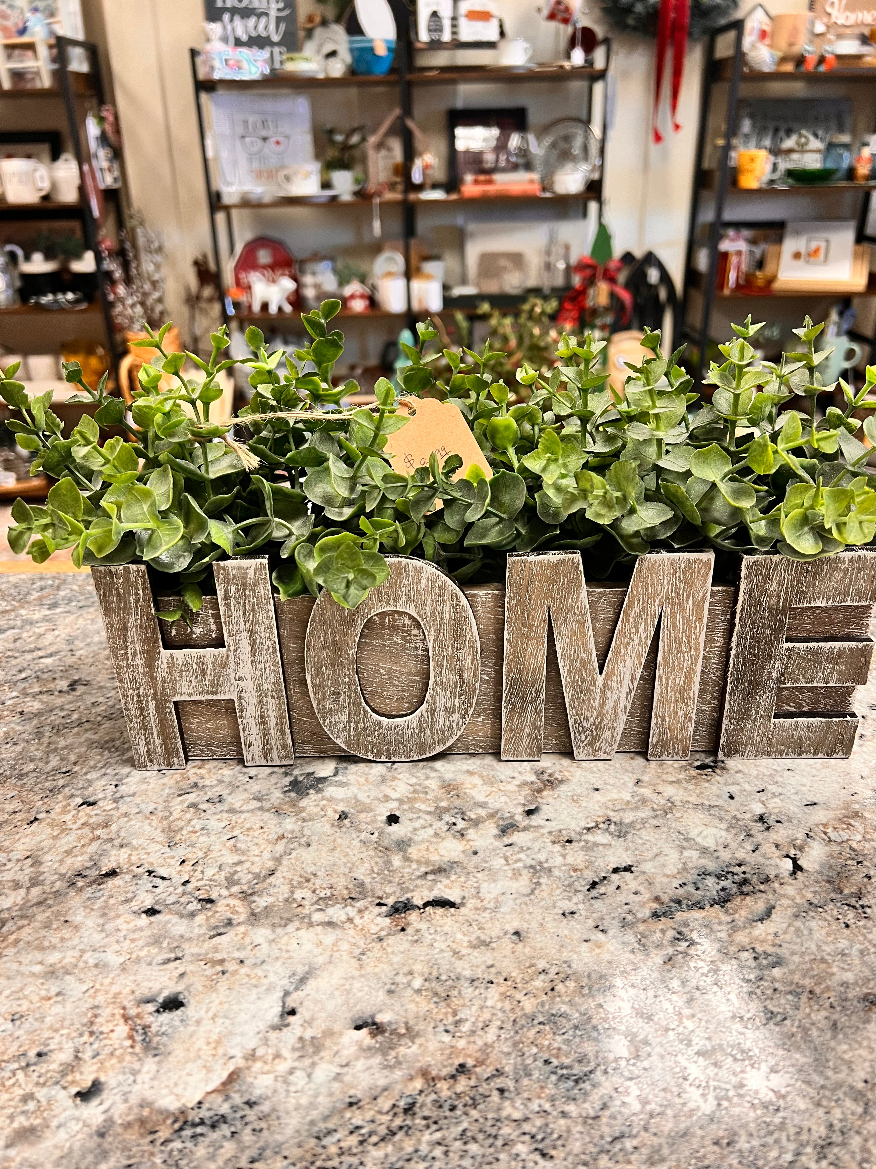 Home Plant Decor